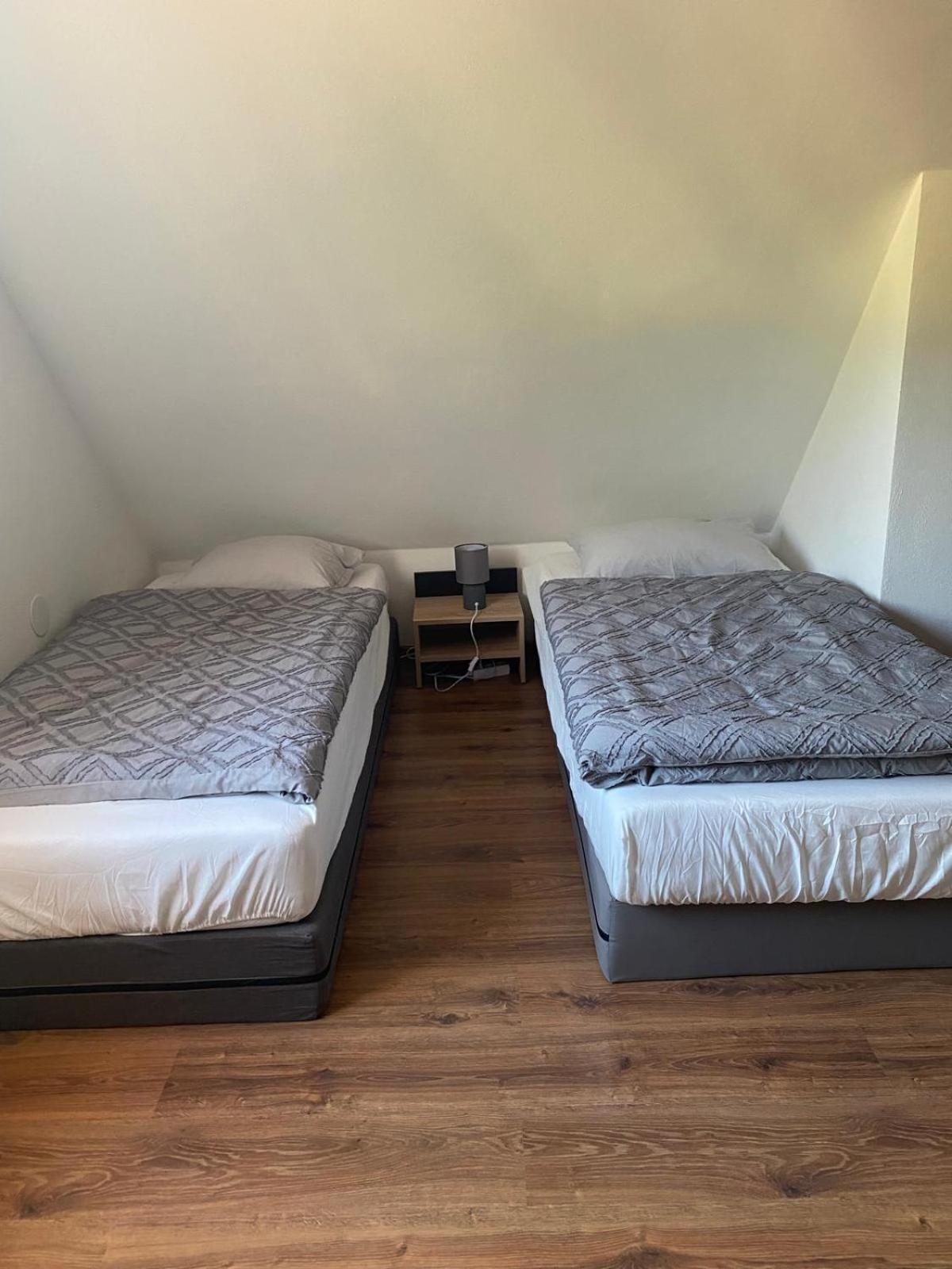 Mountain Cozy Home Sub Cetate Zewnętrze zdjęcie